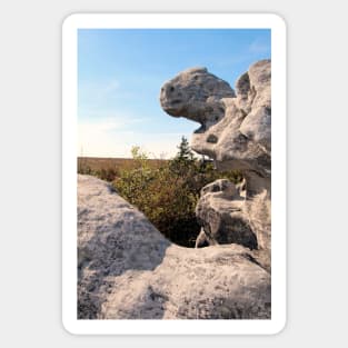 Rock Formation, Dolly Sods, West Virginia Sticker